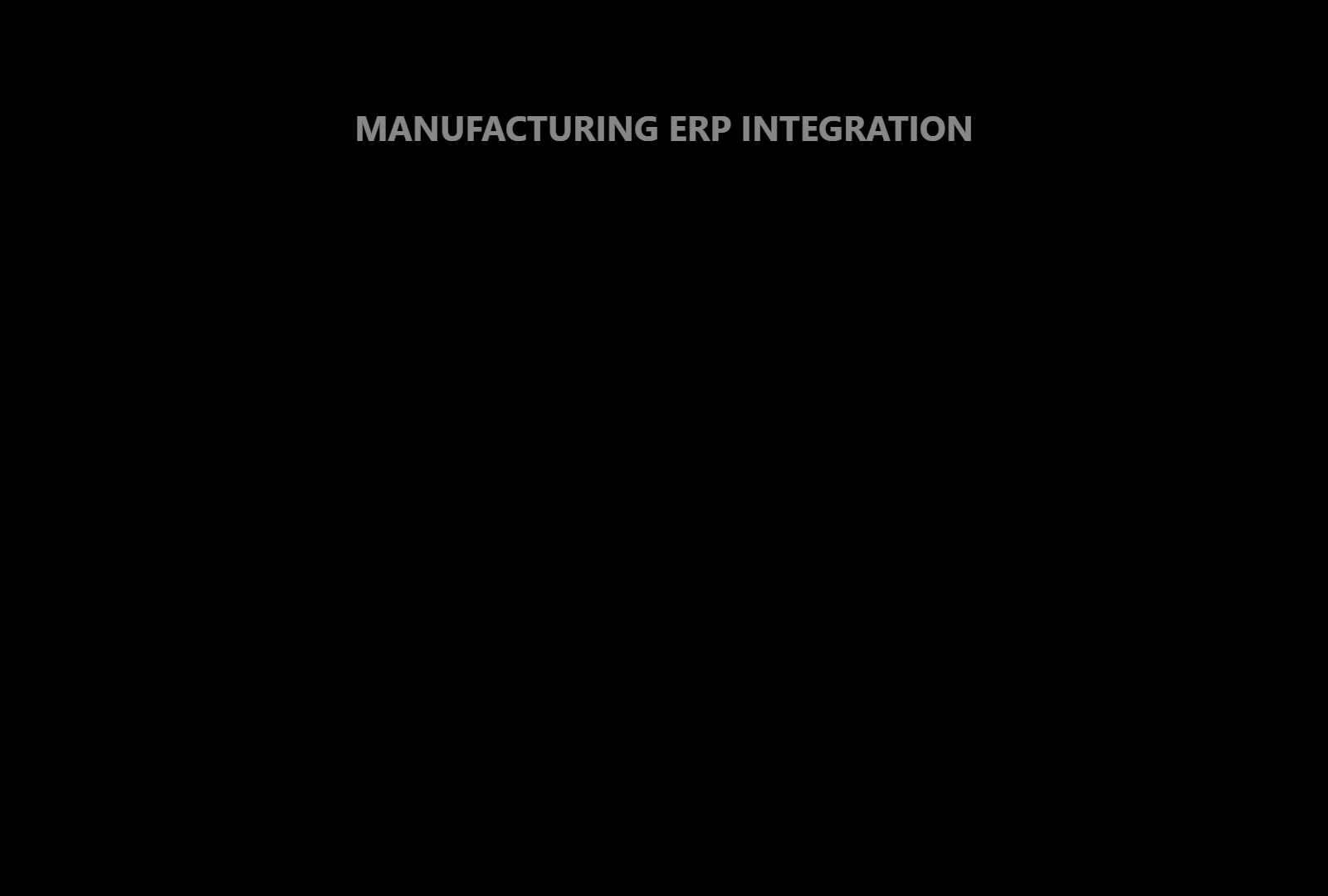 Custom ERP Integration